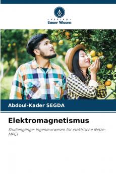 Elektromagnetismus