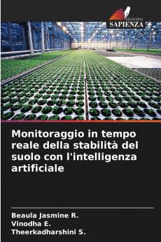 Monitoraggio in tempo reale della stabilità del suolo con l'intelligenza artificiale