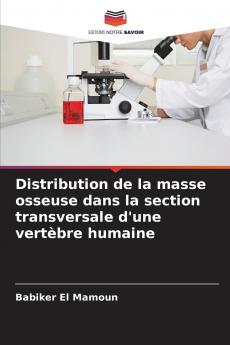 Distribution de la masse osseuse dans la section transversale d'une vertèbre humaine