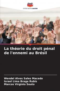 La théorie du droit pénal de l'ennemi au Brésil