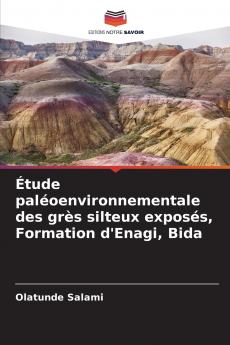 Étude paléoenvironnementale des grès silteux exposés Formation d'Enagi Bida