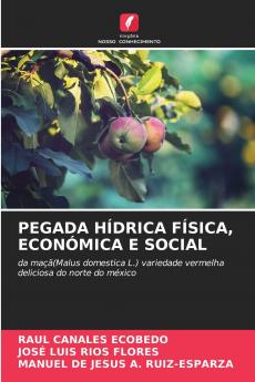 PEGADA HÍDRICA FÍSICA ECONÓMICA E SOCIAL