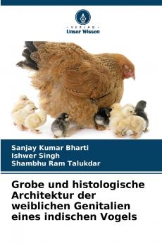 Grobe und histologische Architektur der weiblichen Genitalien eines indischen Vogels