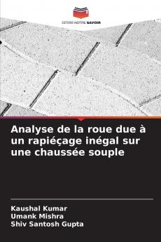 Analyse de la roue due à un rapiéçage inégal sur une chaussée souple