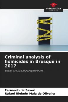 Criminal analysis of homicides in Brusque in 2017