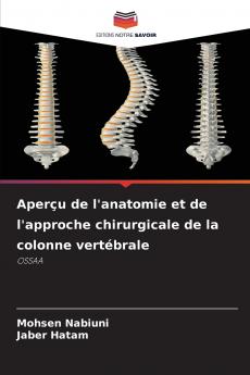Aperçu de l'anatomie et de l'approche chirurgicale de la colonne vertébrale