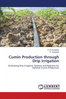 Cumin Production through Drip Irrigation