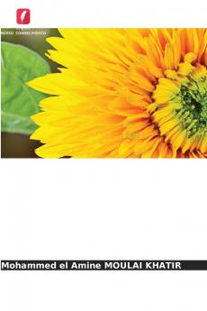 Explorar a exoficção em Vincent qu'on assassine