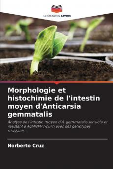 Morphologie et histochimie de l'intestin moyen d'Anticarsia gemmatalis