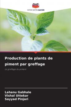 Production de plants de piment par greffage