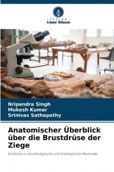 Anatomischer Überblick über die Brustdrüse der Ziege