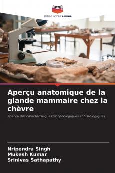 Aperçu anatomique de la glande mammaire chez la chèvre