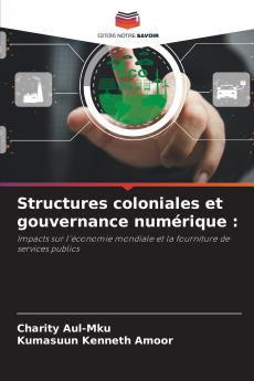 Structures coloniales et gouvernance numérique