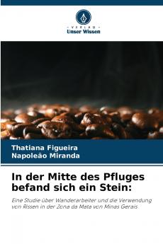 In der Mitte des Pfluges befand sich ein Stein