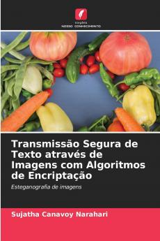 Transmissão Segura de Texto através de Imagens com Algoritmos de Encriptação