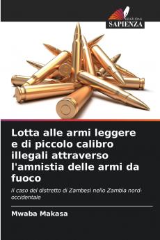 Lotta alle armi leggere e di piccolo calibro illegali attraverso l'amnistia delle armi da fuoco