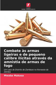 Combate às armas ligeiras e de pequeno calibre ilícitas através da amnistia de armas de fogo