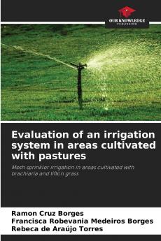 Evaluation of an irrigation system in areas cultivated with pastures
