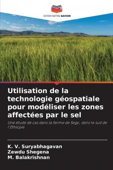 Utilisation de la technologie géospatiale pour modéliser les zones affectées par le sel