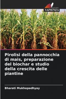 Pirolisi della pannocchia di mais preparazione del biochar e studio della crescita delle piantine