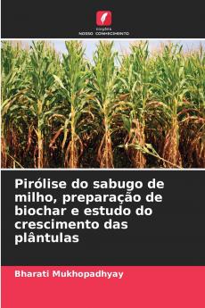 Pirólise do sabugo de milho preparação de biochar e estudo do crescimento das plântulas