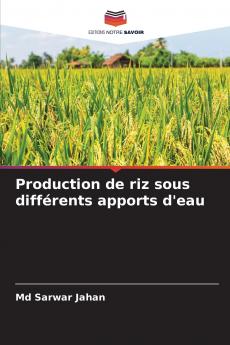 Production de riz sous différents apports d'eau