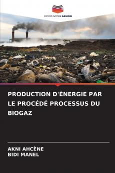 PRODUCTION D'ÉNERGIE PAR LE PROCÉDÉ PROCESSUS DU BIOGAZ