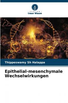 Epithelial-mesenchymale Wechselwirkungen