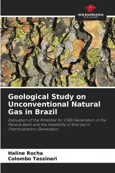 Geological Study on Unconventional Natural Gas in Brazil