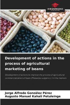 Development of actions in the process of agricultural marketing of beans