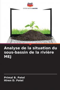 Analyse de la situation du sous-bassin de la rivière MEJ