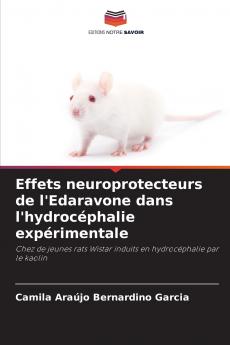 Effets neuroprotecteurs de l'Edaravone dans l'hydrocéphalie expérimentale