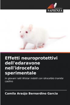 Effetti neuroprotettivi dell'edaravone nell'idrocefalo sperimentale