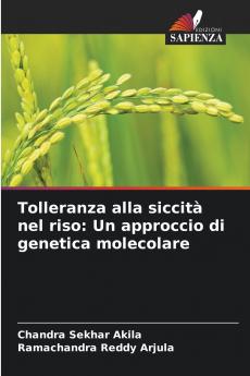 Tolleranza alla siccità nel riso