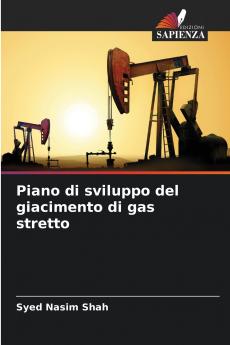 Piano di sviluppo del giacimento di gas stretto
