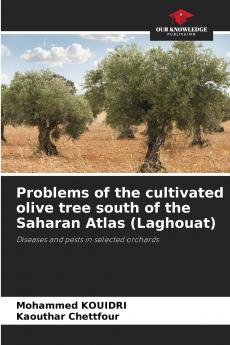 Problems of the cultivated olive tree south of the Saharan Atlas (Laghouat)