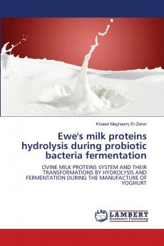 Ewe's milk proteins hydrolysis during probiotic bacteria fermentation