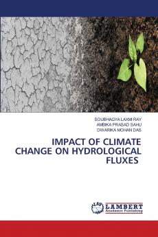 IMPACT OF CLIMATE CHANGE ON HYDROLOGICAL FLUXES