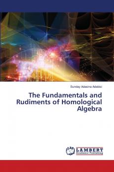 The Fundamentals and Rudiments of Homological Algebra