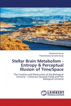 Stellar Brain Metabolism - Entropy & Perceptual Illusion of Time/Space