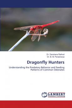Dragonfly Hunters