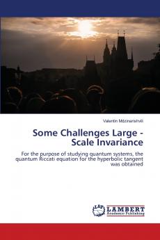 Some Challenges Large - Scale Invariance