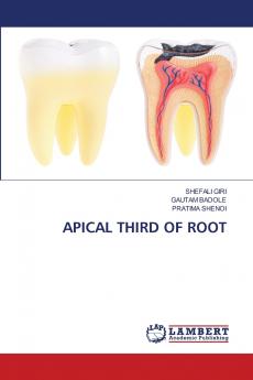APICAL THIRD OF ROOT