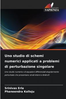 Uno studio di schemi numerici applicati a problemi di perturbazione singolare