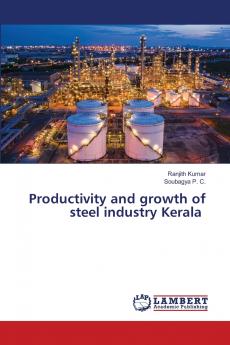 Productivity and growth of steel industry Kerala