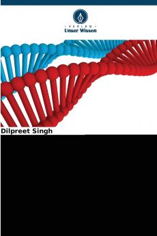 Fortschritte bei hybriden Hilfsstoffen für die gezielte Verabreichung von Medikamenten