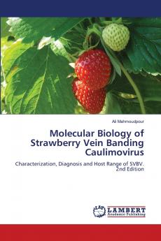 Molecular Biology of Strawberry Vein Banding Caulimovirus