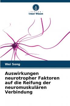 Auswirkungen neurotropher Faktoren auf die Reifung der neuromuskulären Verbindung