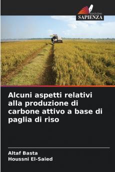 Alcuni aspetti relativi alla produzione di carbone attivo a base di paglia di riso