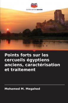 Points forts sur les cercueils égyptiens anciens caractérisation et traitement
